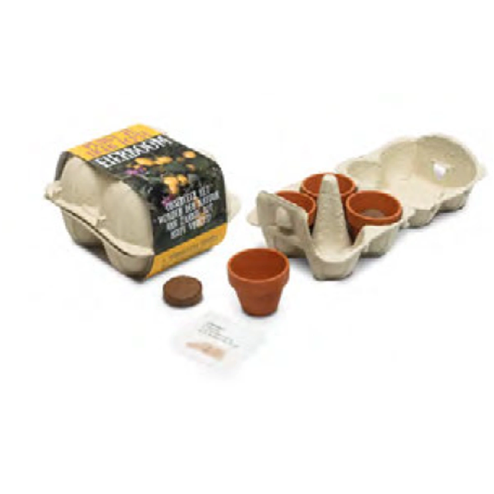 Äggkartong med frön